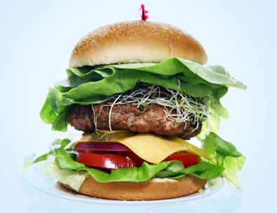 ORGANIC GLUTEN FREE SEA